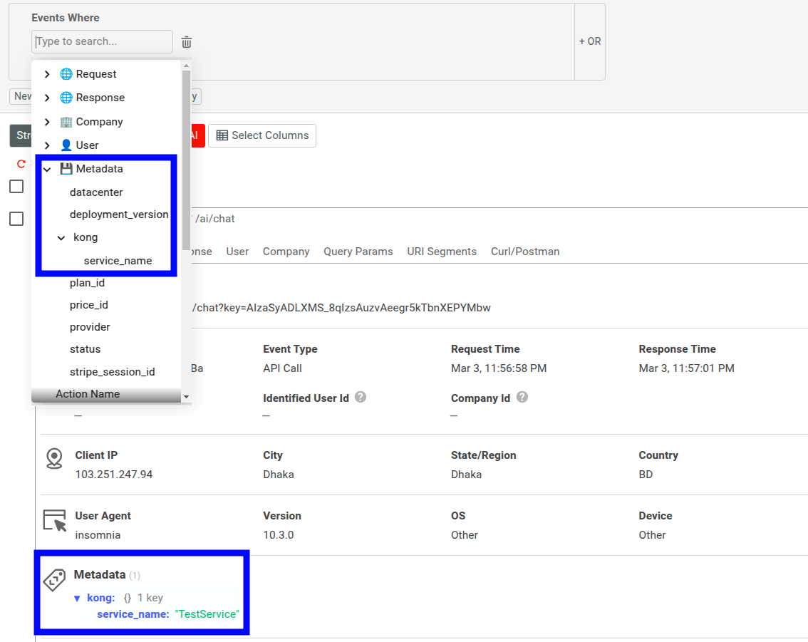 Filters list metadata in Moesif showing Kong metadata containing information about Kong services and routes. Kong metadata details in Moesif